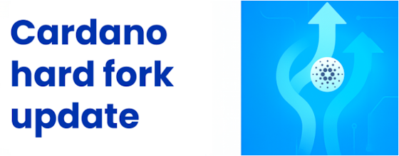 Csrdano hard fork update