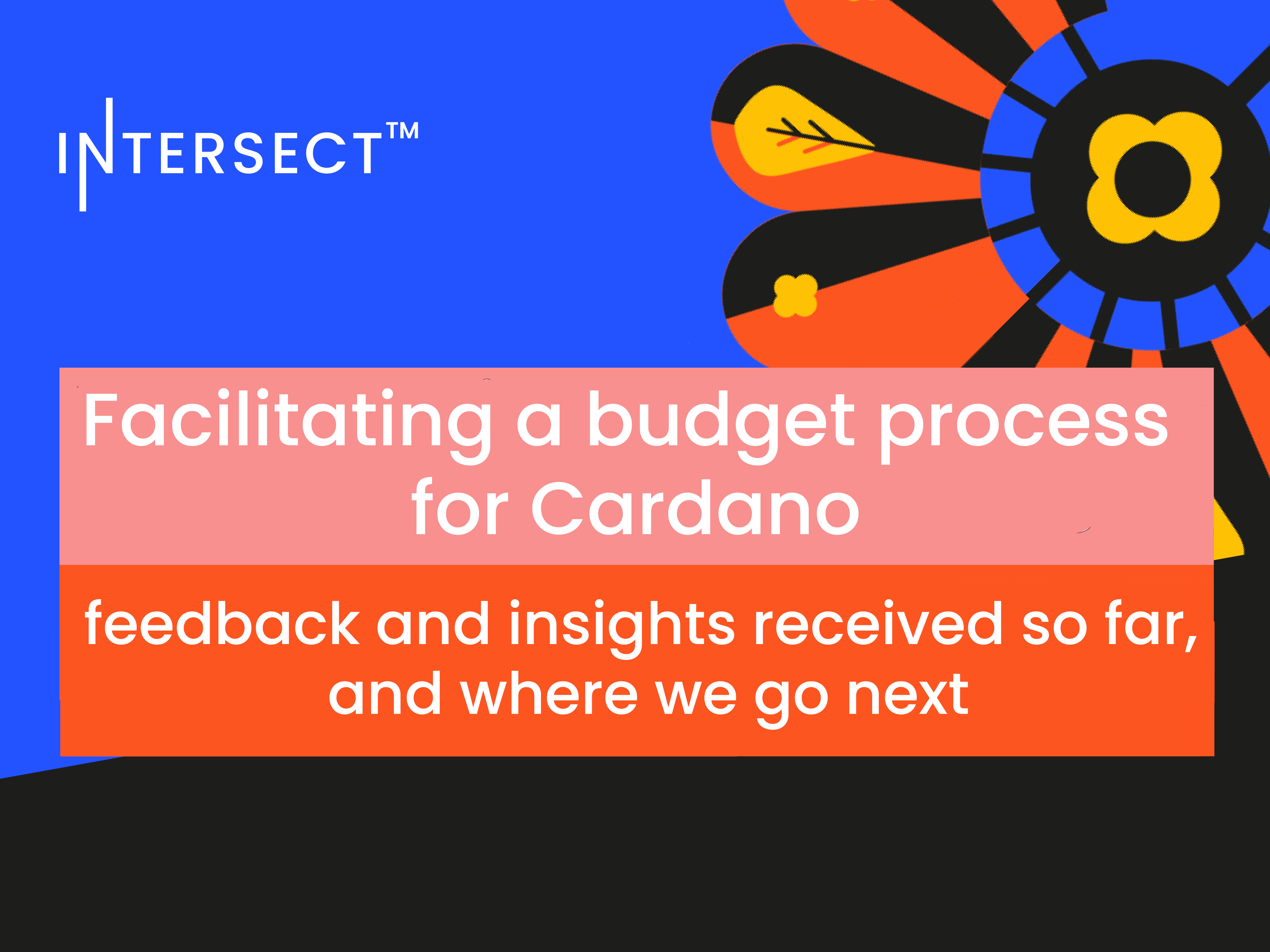 Facilitating a budget process for Cardano - feedback and insights received  so far, and where we go next